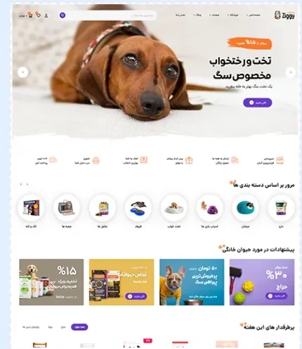 طراحی سایت پت شاپ